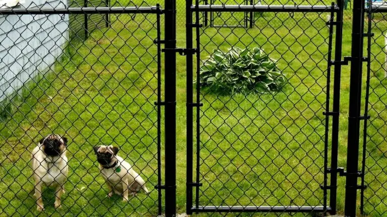 Maintaining your Chainlink Fence